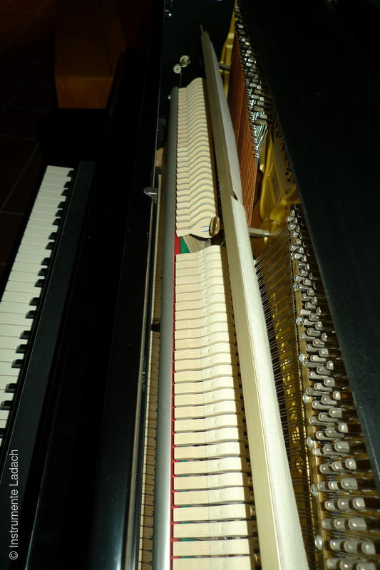 Klavier Schimmel C116T