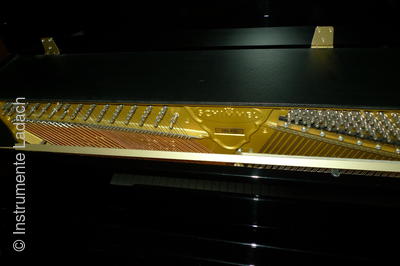 Klavier Schimmel C116T
