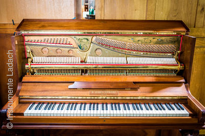 B. Schellenberg Klavier